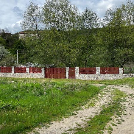 La Gradina Hotell Mehadija Exteriör bild