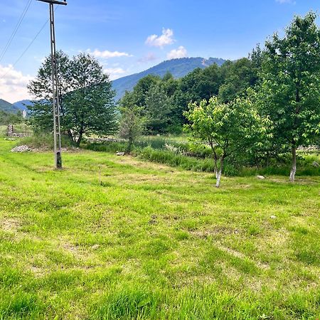 La Gradina Hotell Mehadija Exteriör bild
