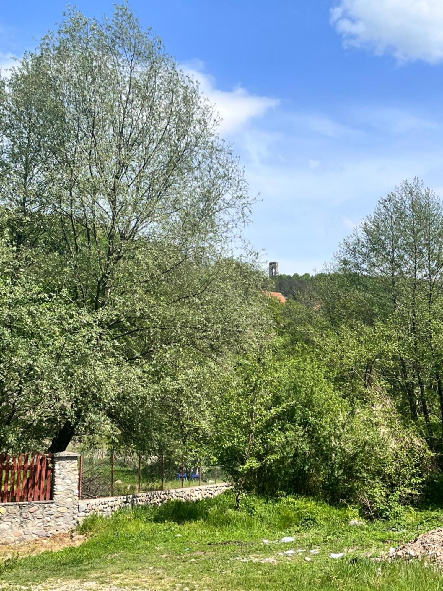 La Gradina Hotell Mehadija Exteriör bild