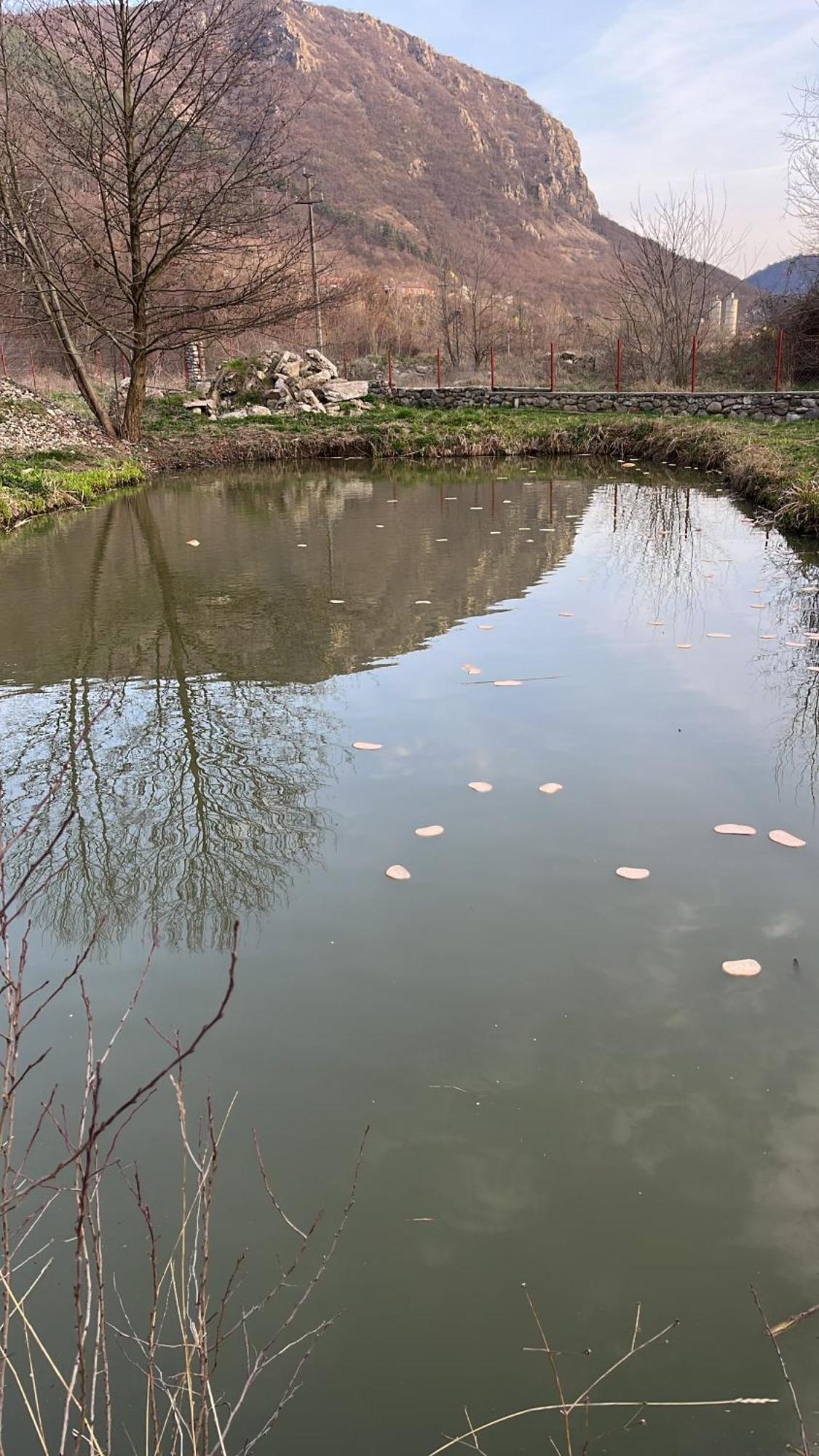 La Gradina Hotell Mehadija Exteriör bild
