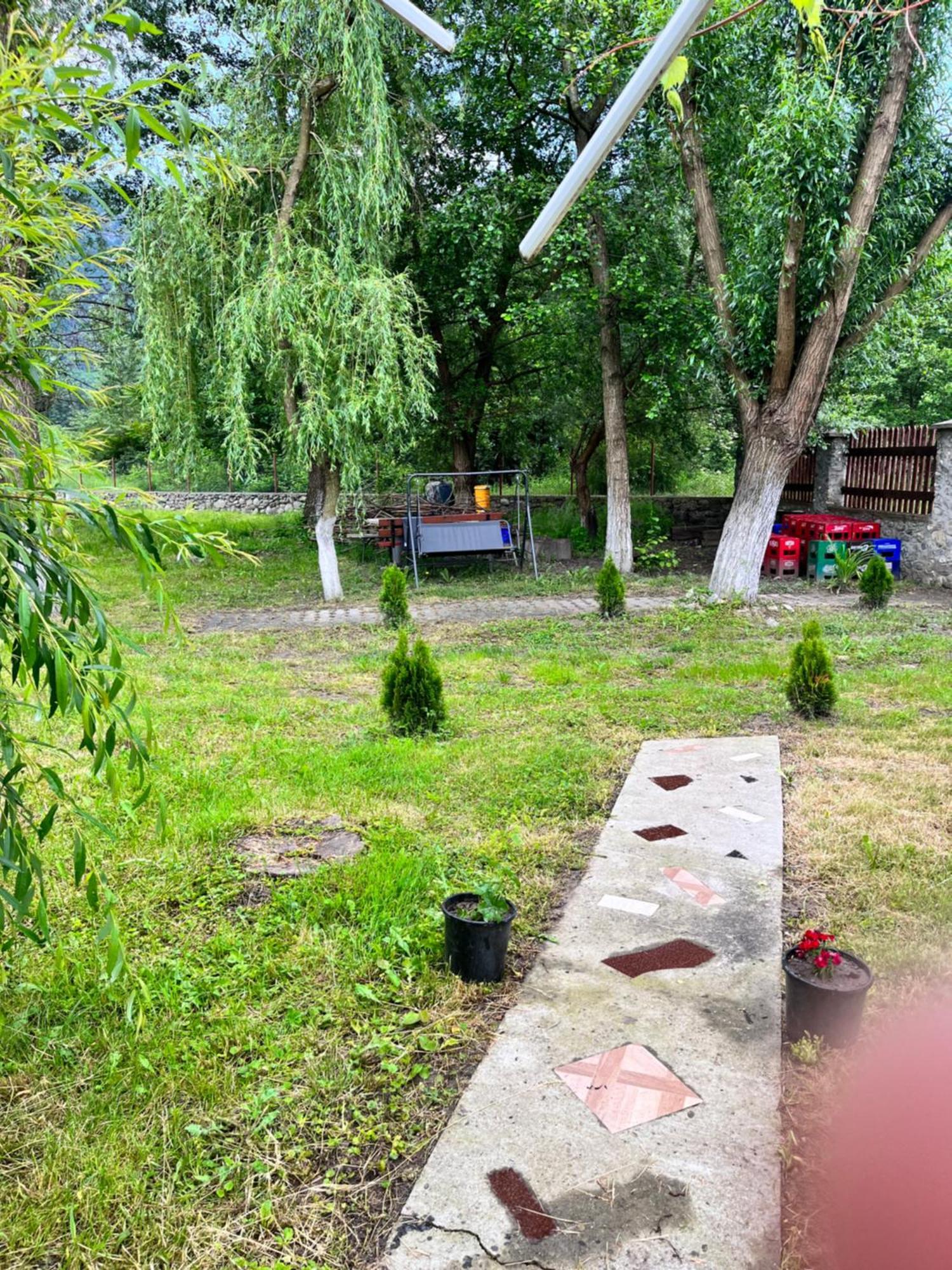 La Gradina Hotell Mehadija Exteriör bild